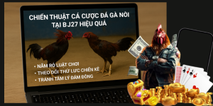 Chiến thuật cá cược đá gà nồi tại BJ27 hiệu quả