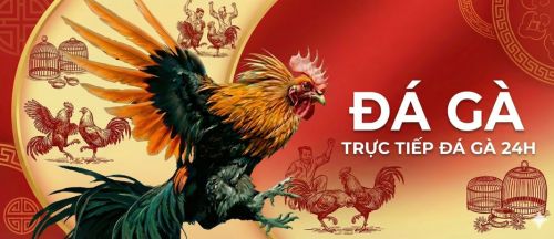 Trò chơi đá gà